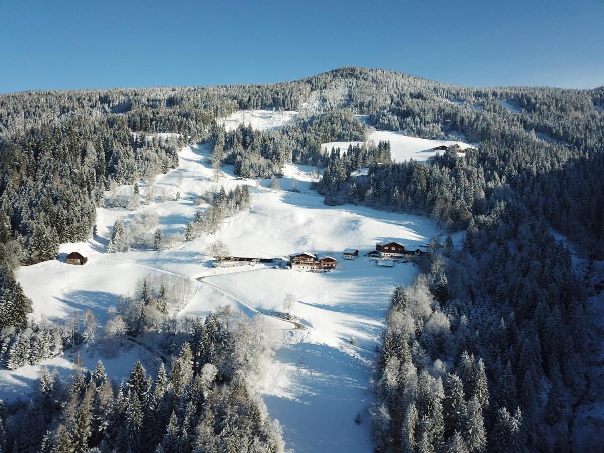 Pension Bergbauernhof Irxner Pichl-Preunegg Eksteriør bilde